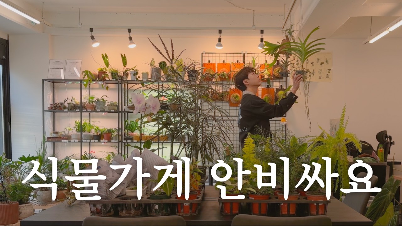 식물가게가 비싸다고 느껴지지 않기 위해 하는 것들 | 농장 다녀왔어요 | 식물가게 브이로그 | 식물 키우기