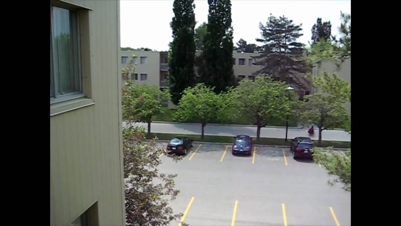 Real Life StarCraft: Zergling