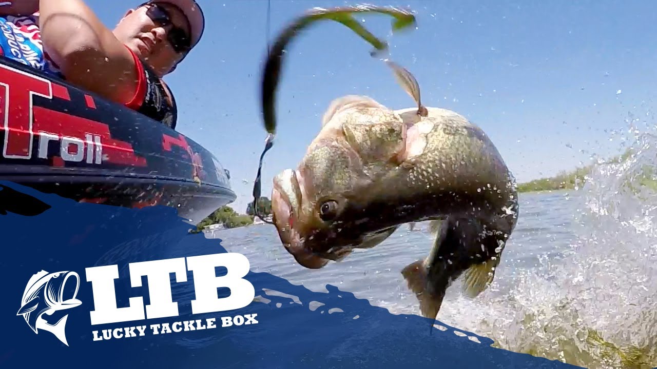 Topwater Tip #2 For Bass Fishing: Soft Body Frog