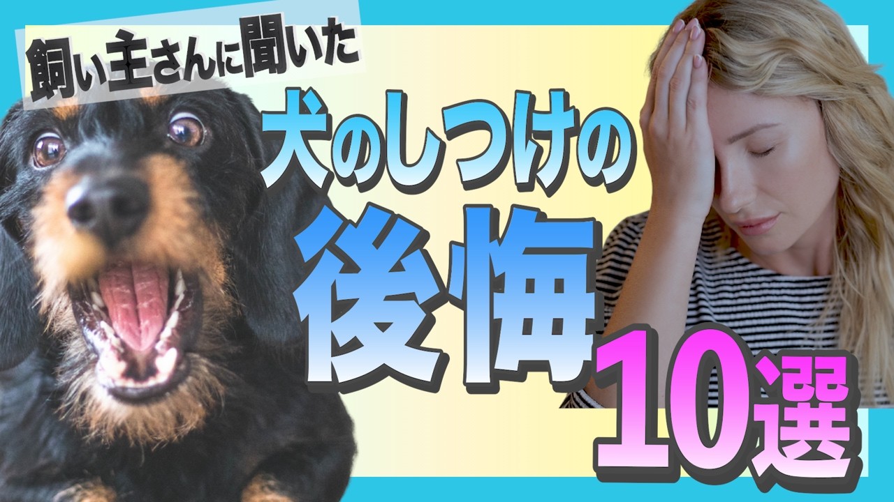 コレ、しっかりやっておけばよかった！飼い主さんが後悔する犬のしつけ10選