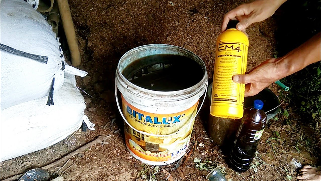 Cara fermentasi kotoran ayam agar cepat jadi