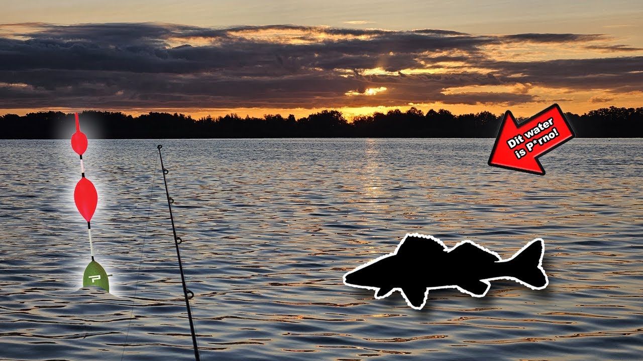 Pennen op Snoekbaars bij zonsopkomst.