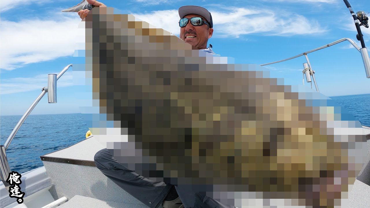 えっ？布団かと思ったら魚だった！！！！さらに日本記録越えてた！！