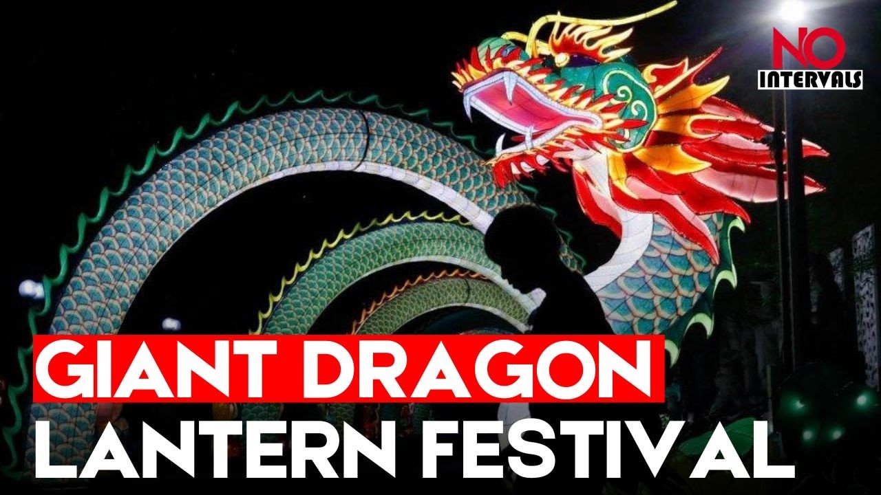 Giant Banban Dragon Lantern Lights Up Cili Lunar New Year Festival In Zhangjiajie | Hollywood News