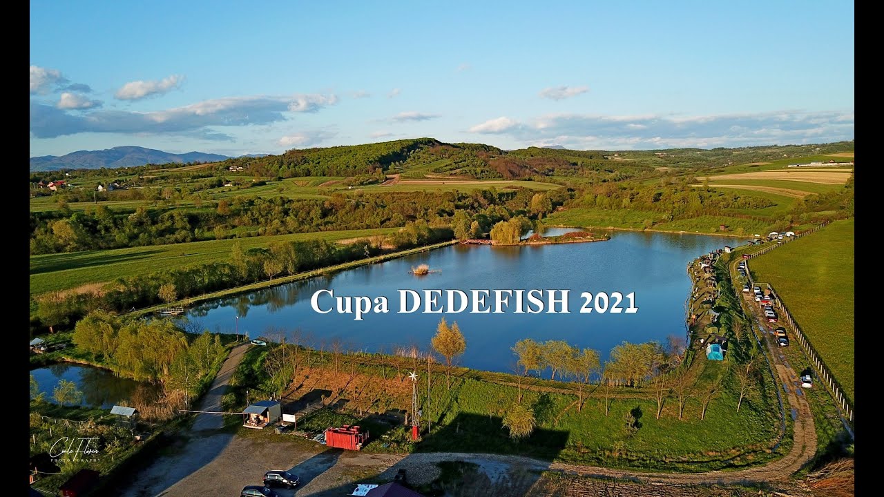 Cupa Dedefish Coas - 2021