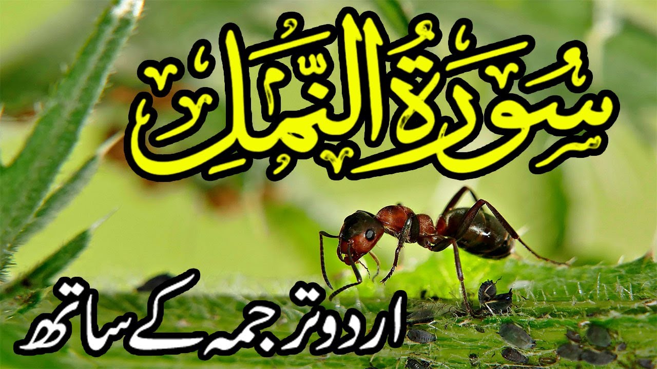 Surah An-Naml (سورۃ النمل) | Urdu Tarjuma Ke Sath | Prophets’ Wisdom, Tawheed & Power