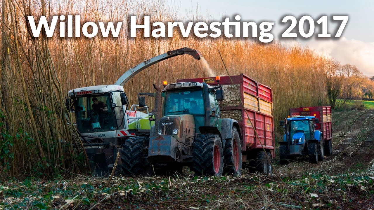 Willow Harvest 2017 - Agri-Contracts Ltd.