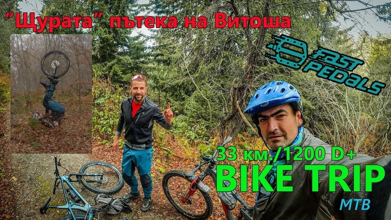 (BIKETRIP) 