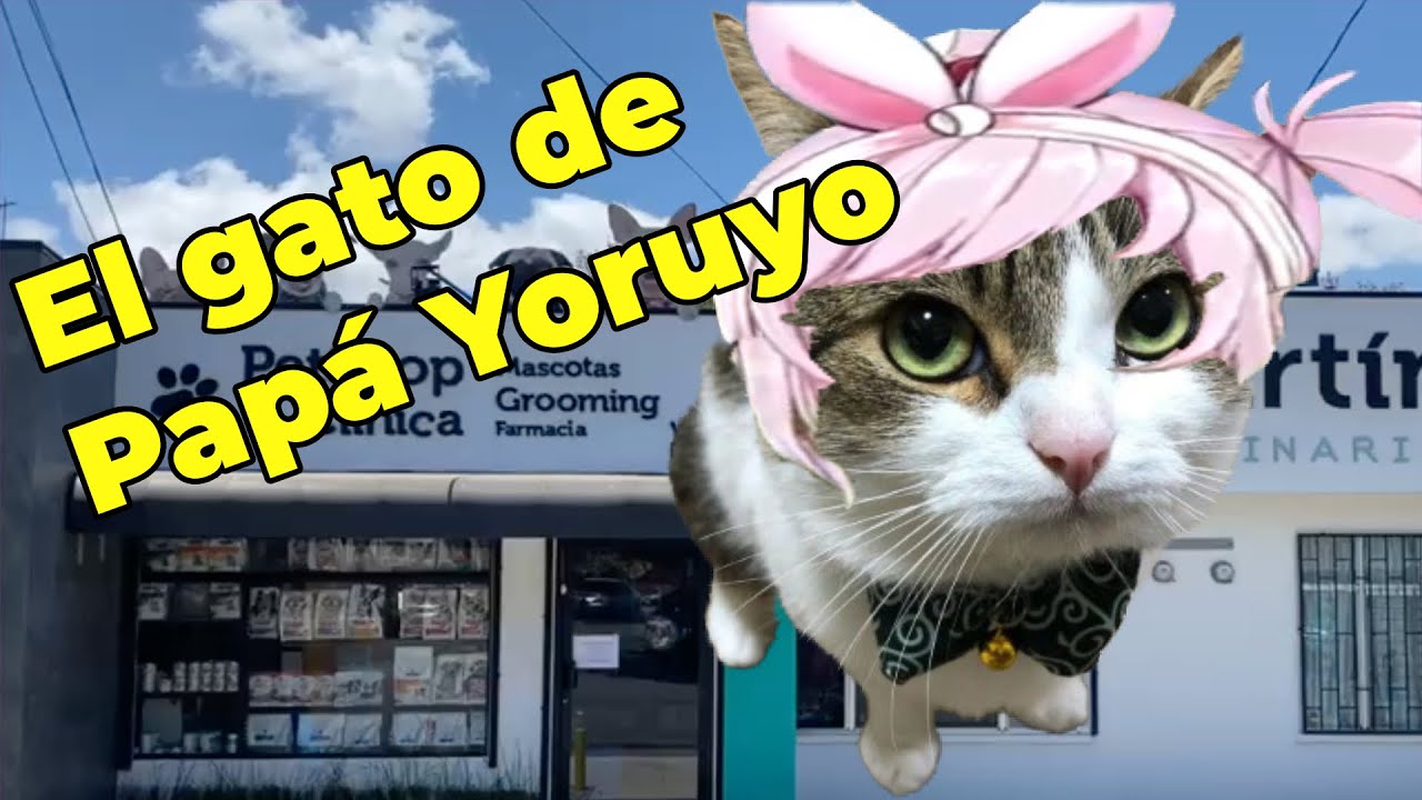 El Gata de Papá Yoruyo