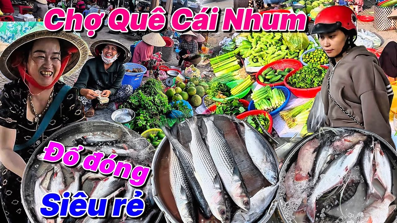 Cá Đồng Đổ Đóng Siêu Rẻ Chợ Quê Cái Nhum - Mang Thít Tết 2026 Vĩnh Long