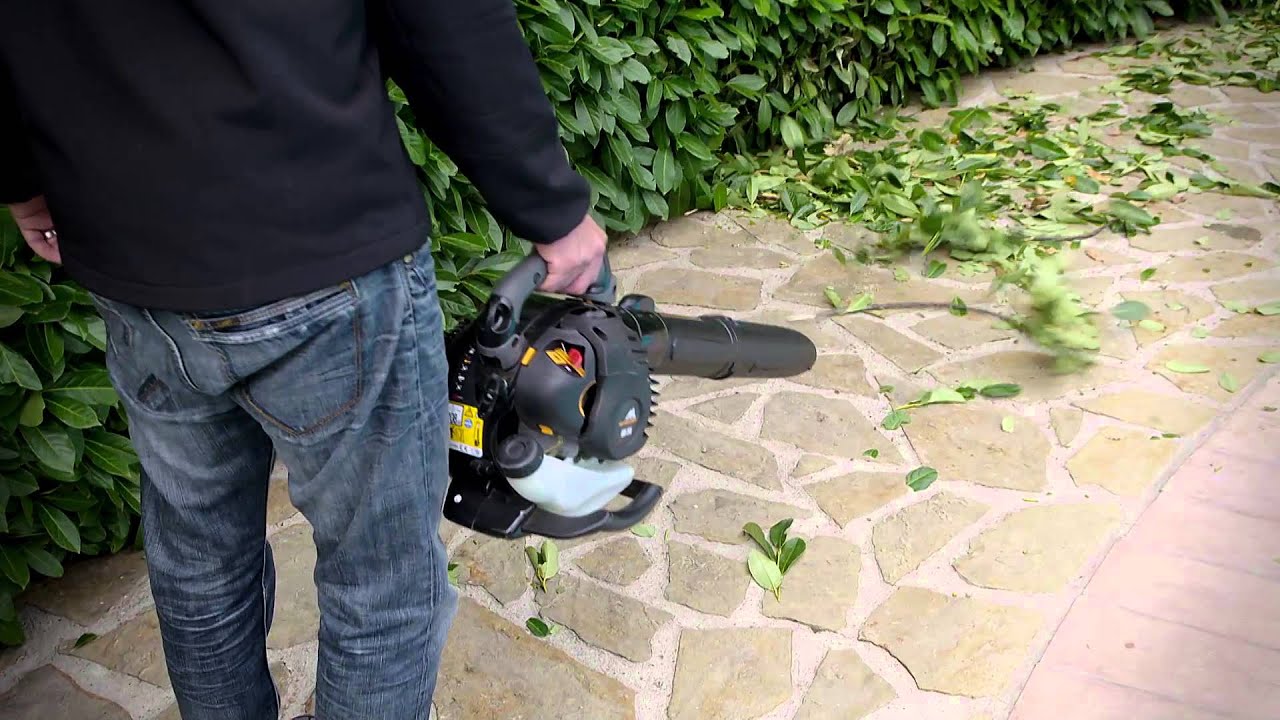 Blower VAC