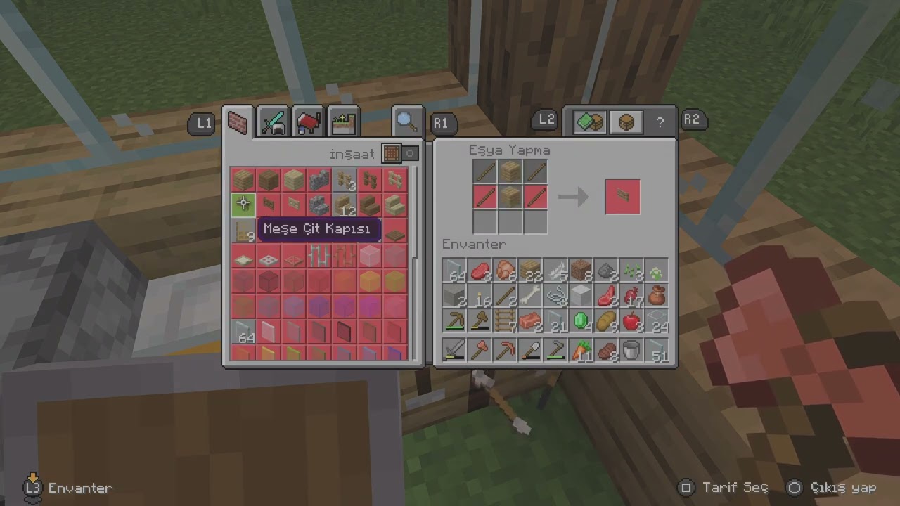 Minecraft 2. Video