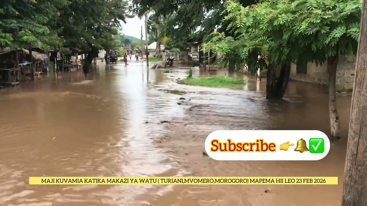 MAJI MENGI KUVAMIA KATIKA MAKAZI YA WATU HUKO MKOANI MOROGORO( MVOMERO ,TURIANI ) 