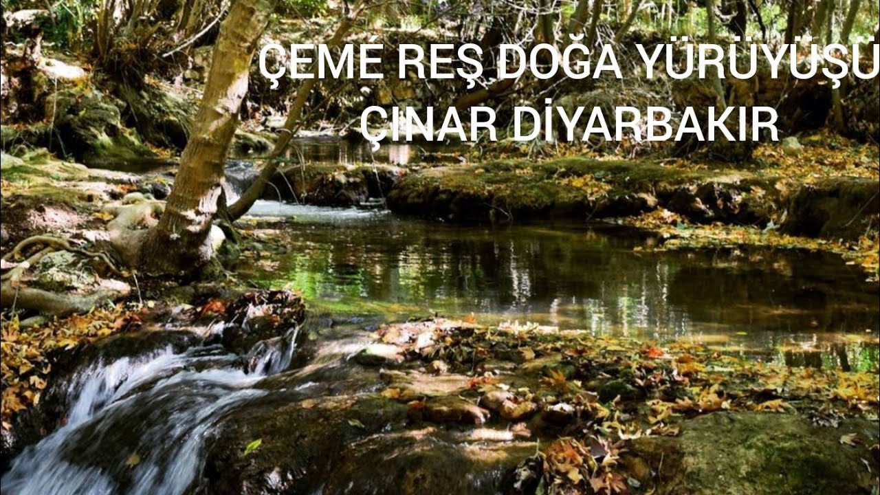 Diyarbakır'da Doğa Harikası Bir Yer.Çemé Reş'in Doğasına Yolculuk.