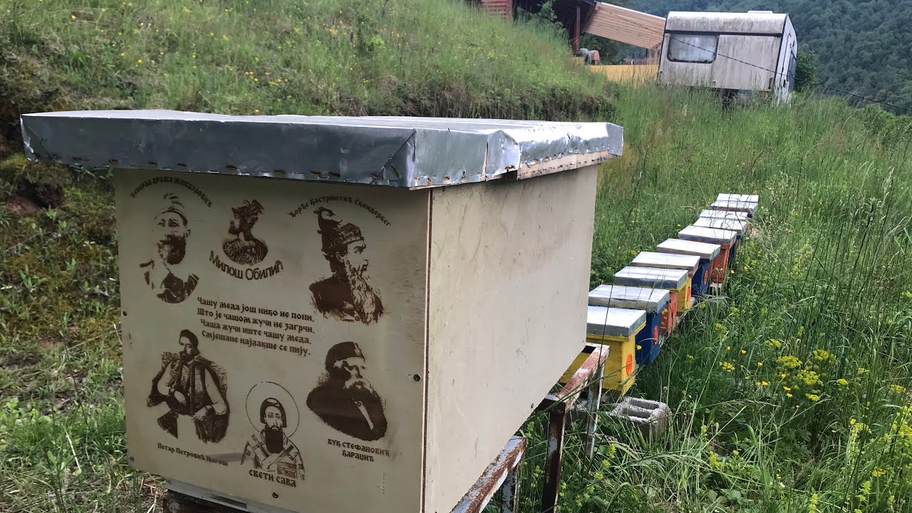 Napravio sam svoju košnicu! Predstavljam Srpsku košnicu! Pčelarstvo 2023.
