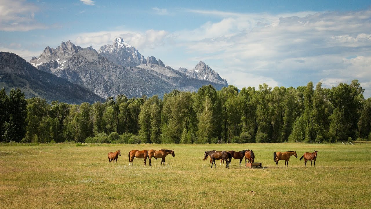 Uplifting Inspirational Music | Beautiful Countryside Scenery