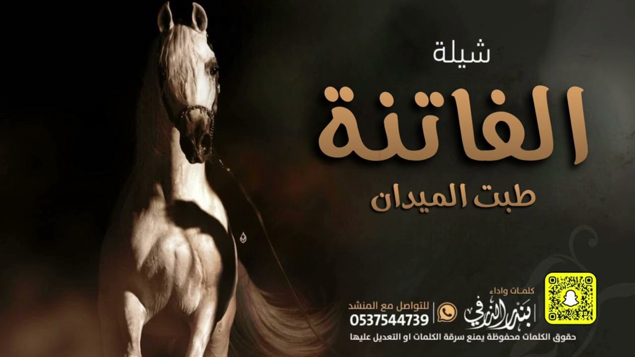 الفاتنة طبت الميدان | كلمات واداء بندر الذرفي