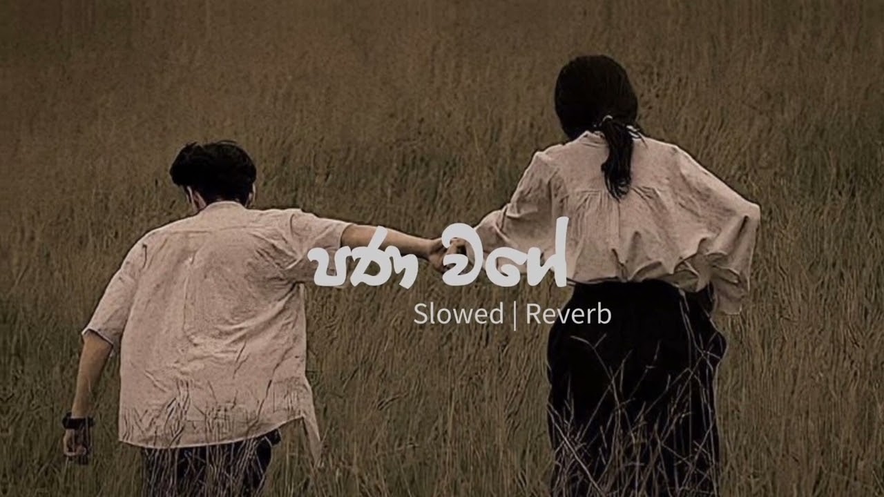 පණ වගේ | Pana Wage | Manjula Pushpakumara | Sinhala song | #slowvibe
