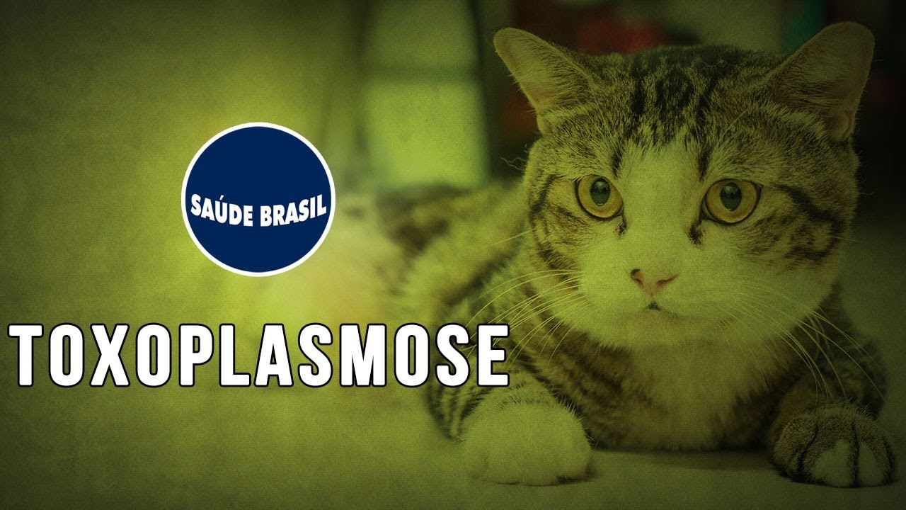 TOXOPLASMOSE | SÉRIE SAÚDE BRASIL