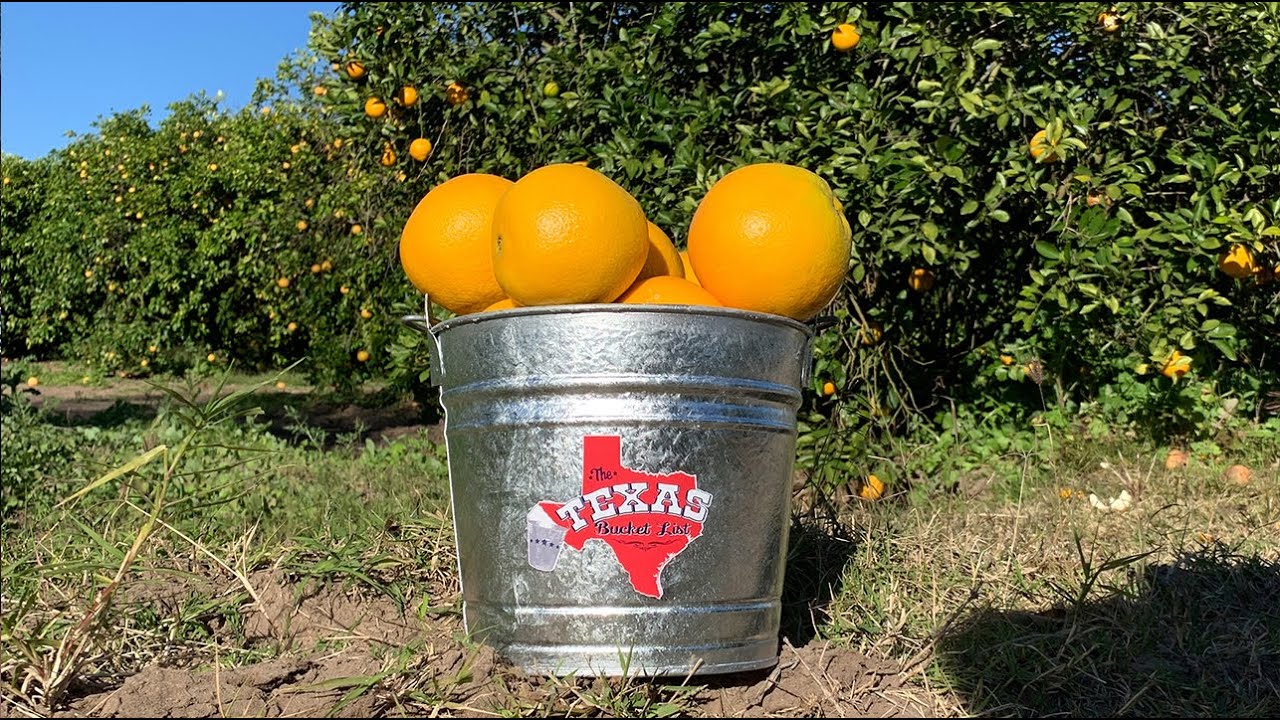The Texas Bucket List - Granny Clare's Citrus in Harlingen