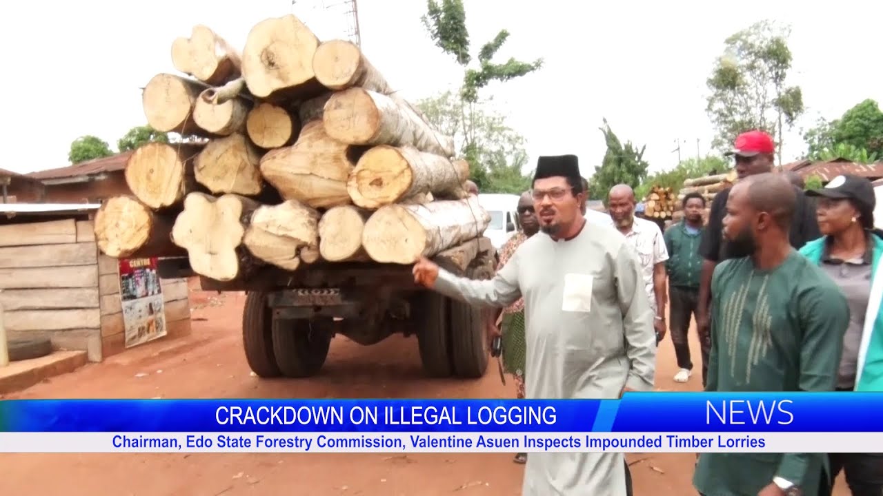 Chairman, Edo State Forestry Commission, Valentine Asuen Inspects Impounded Timber Lorries