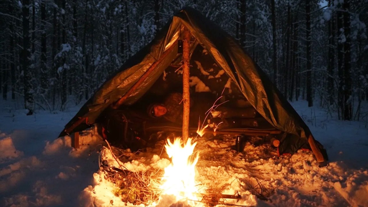 BUSHRAFT SHELTER IN THE ROOTS OF A FALLEN TREE. EXTREMELY COLD OVERNIGHT STAY! -35℃