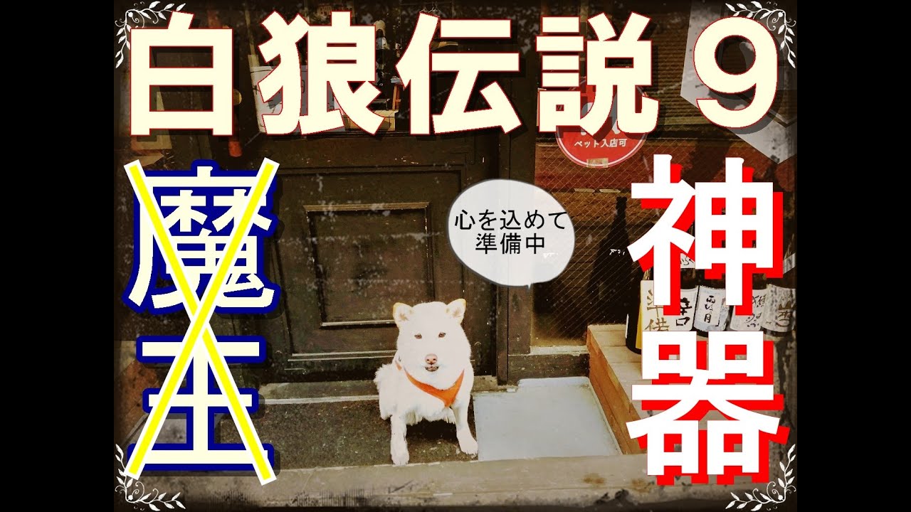 白狼伝説９【Legend of The White Wolf】白柴の子犬として生まれた「白狼はな」の物語