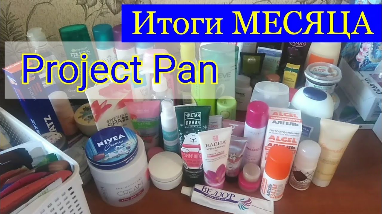 Зимний Project Pan Отчёт за Месяц / Elena Pero