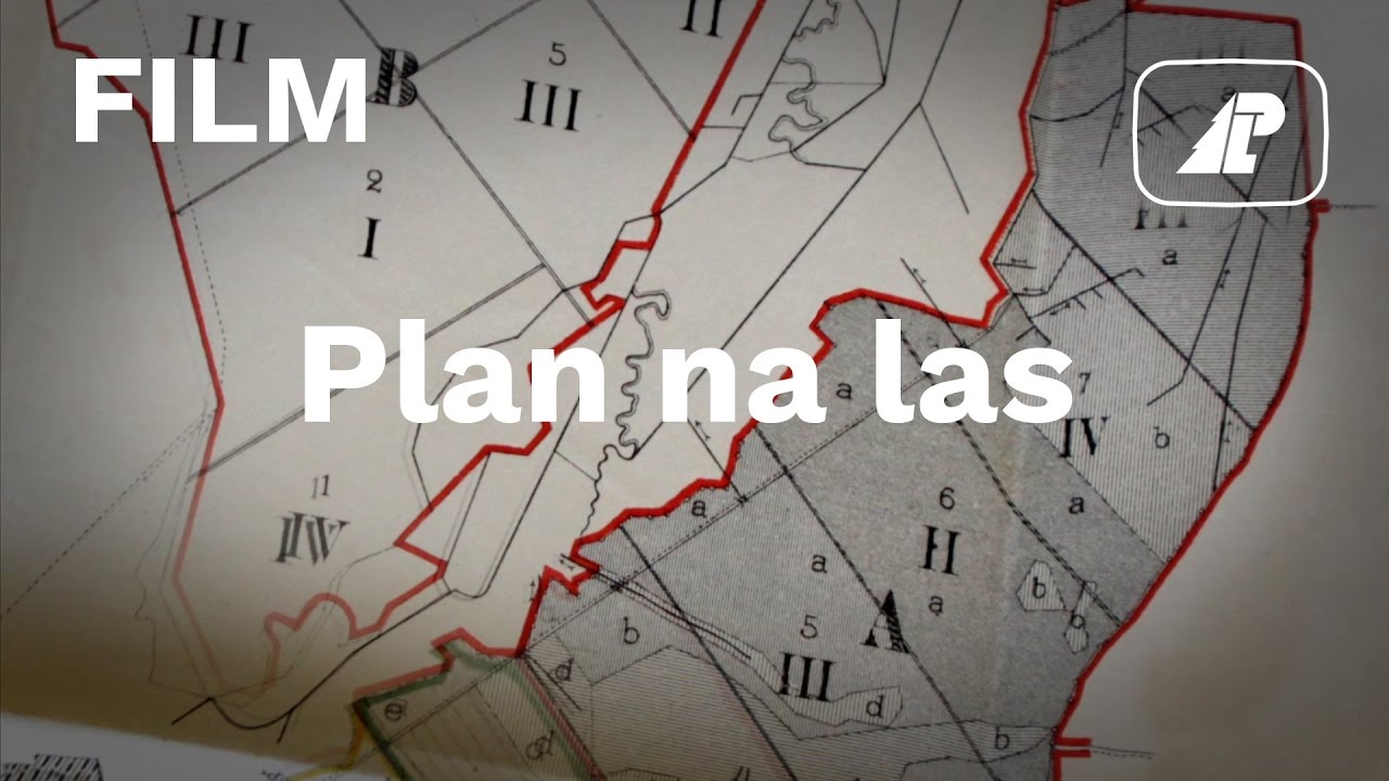 Plan na las - film edukacyjny