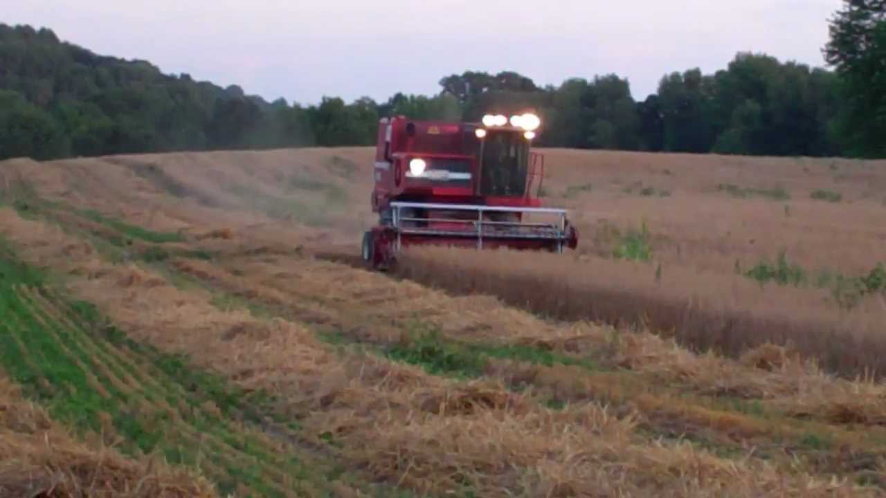 Massey Ferguson 550 Hydro  (Victorian Farms)