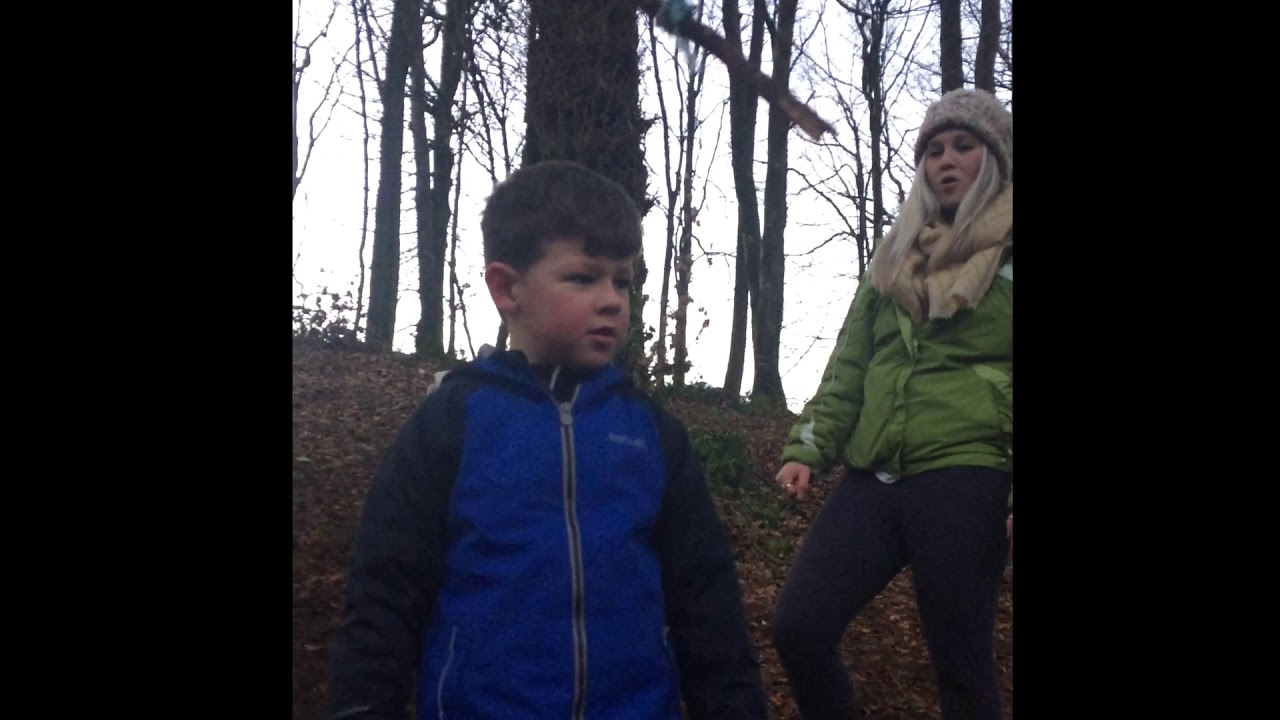 WEREWOLF IN THE WOODS IN BALTINGLASS
