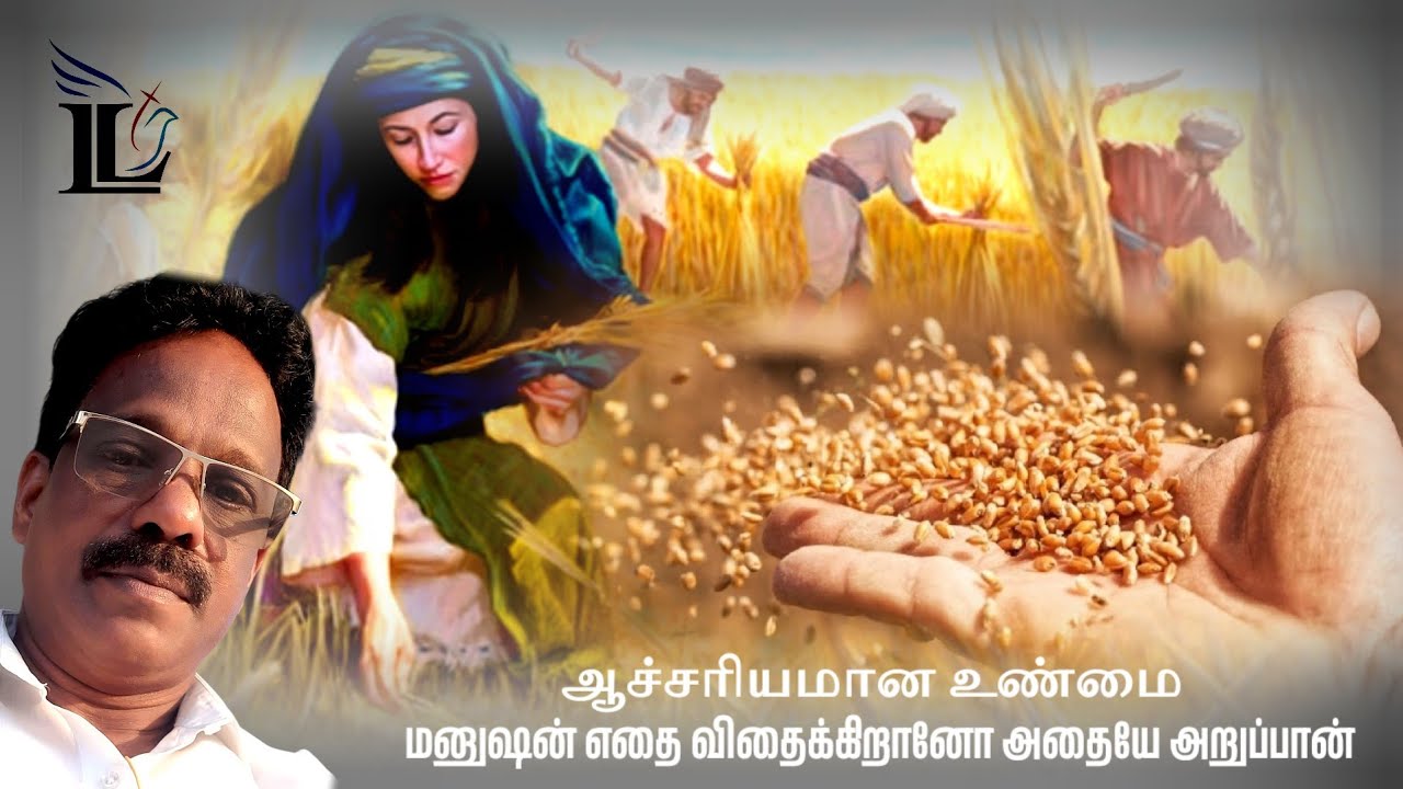 ஆச்சரியமான உண்மை என்னவென்றால் மனுஷன் எதை விதைக்கிறானோ அதையே அறுப்பான் 
