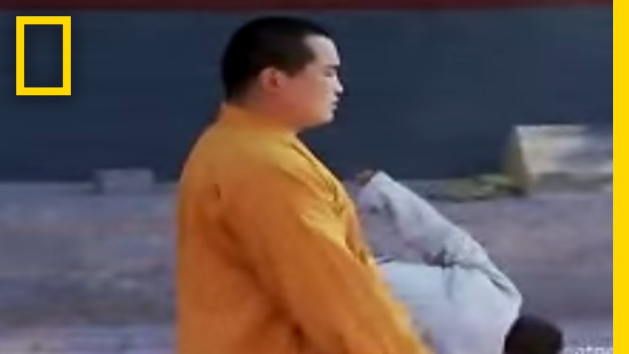 Child Kung Fu Boot Camp | National Geographic