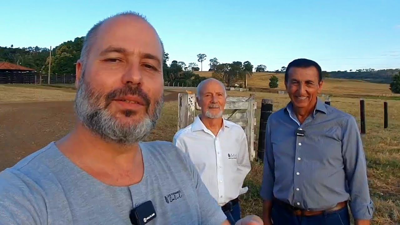 R$ 135 MILHÕES - FAZENDA DE 1300 HECTARES PRODUTIVA-GOIÁS-GADO E CANA- ESTRUTURADA-VÁRIAS NASCENTES