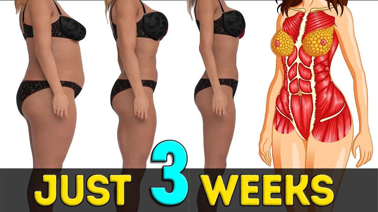 FAT BURN + TONE BODY  STANDING WORKOUT