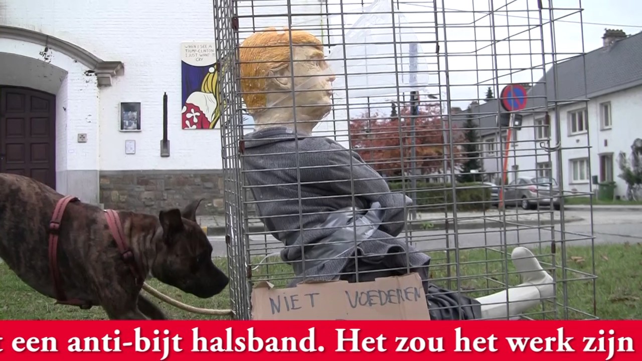 Trump achtergelaten in hondenkooi