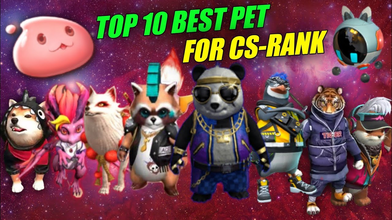 TOP 10 BEST PET FOR CS-RANK || Best pet in free fire || Very very important pet for CS-RANK !!!