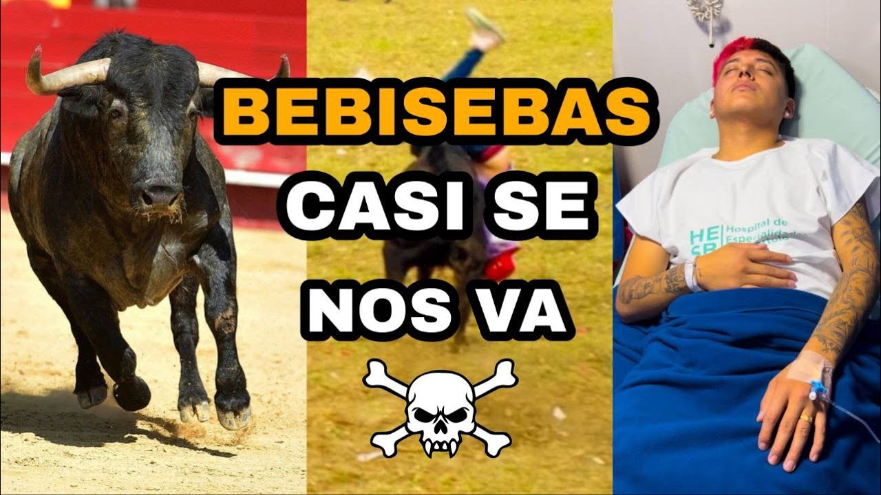 TOROS POPULARES TOACASO🐂(BEBISEBAS CASI SE NOS VA)🥲💔