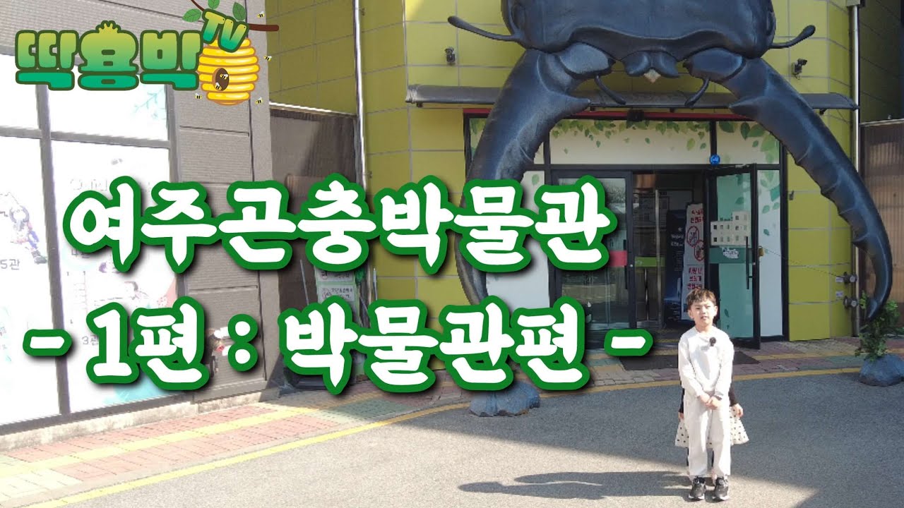[딱용박TV] 드디어, 여주곤충박물관!! (박물관편)