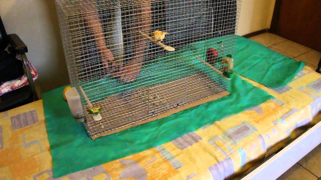 Proteção para o fundo da Gaiola