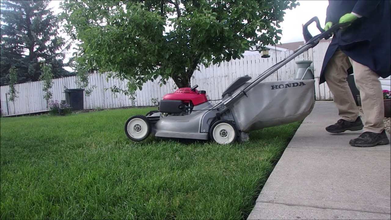 Honda HRB215 Reconditioning Part 3