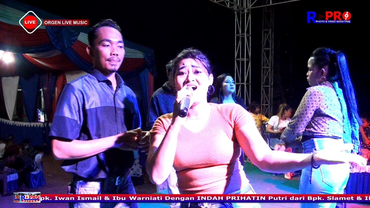 Bunga versi koplo