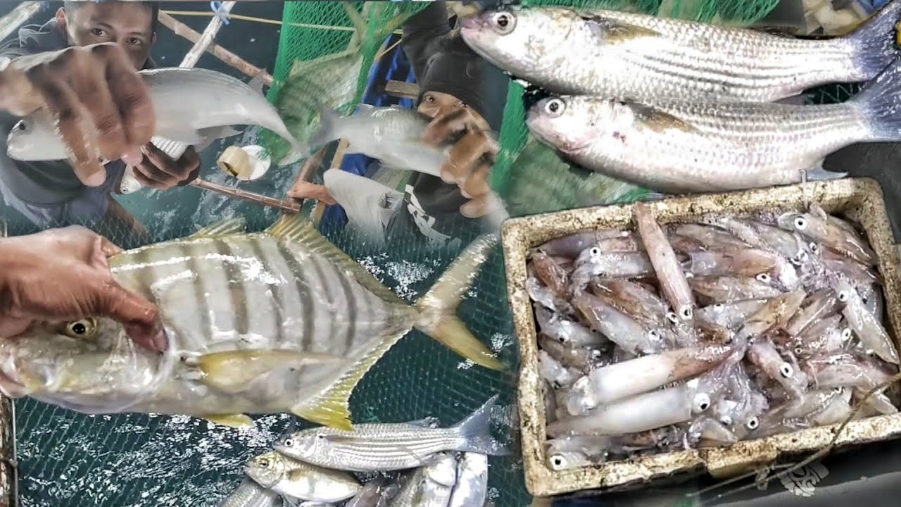 BUWENAS NABIYAYAAN nang mga LAMANG DAGAT.
