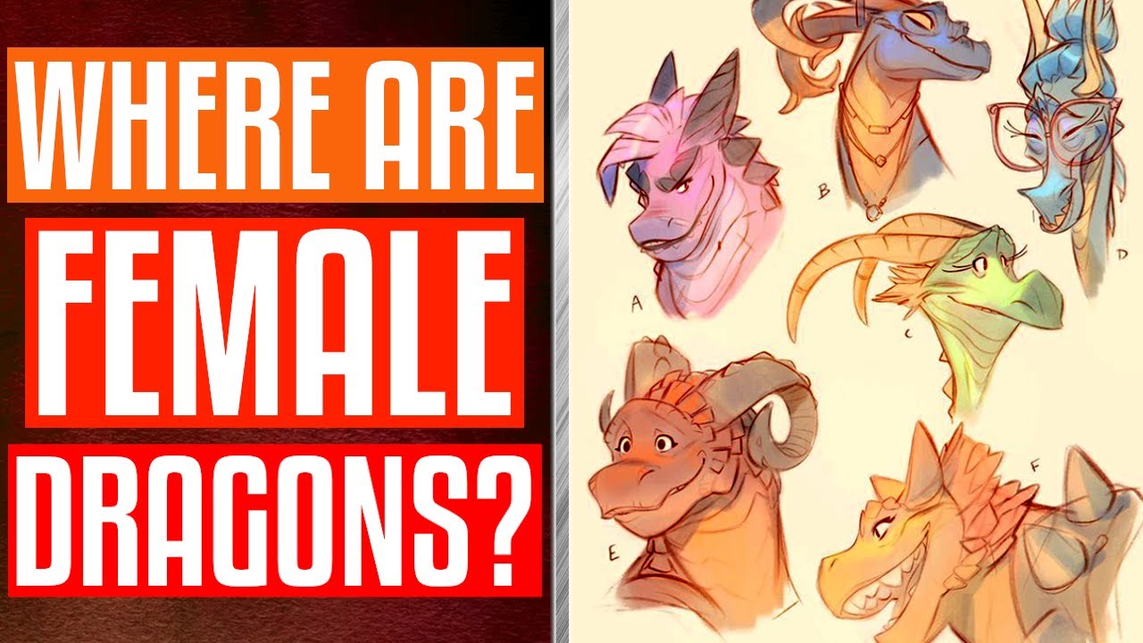 Spyro The Dragon - Let's Talk About Female Dragons - Where Are They & Should We Expect Them?