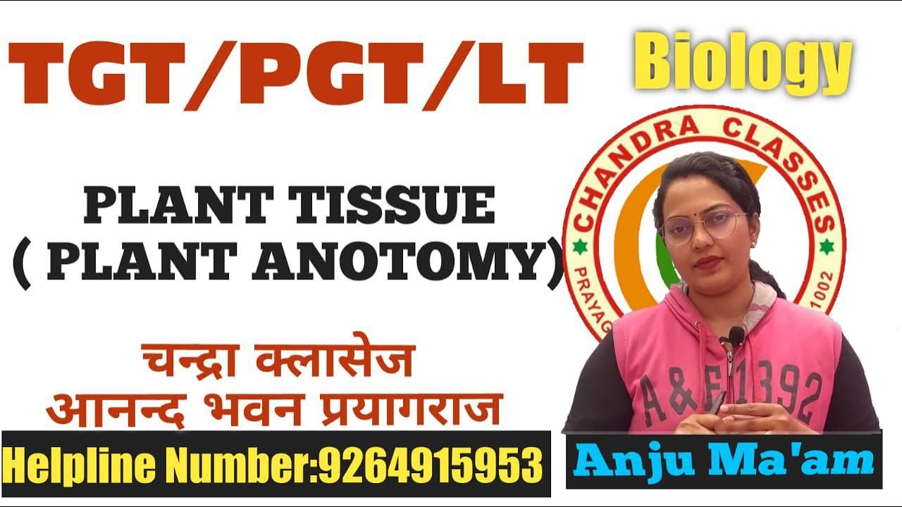TYPES OF TISSUE SYSTEM || PLANT ANOTOMY || LT II TGT || PGT BIOLOGY || BY ANJU MAM