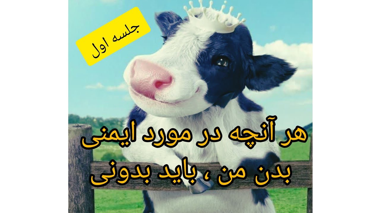 سیستم ایمنی بدن دام چیه دیگه؟ چجور قویش کنیم؟ چطور سد دفاعی در بدن  رو قوی کنیم ؟