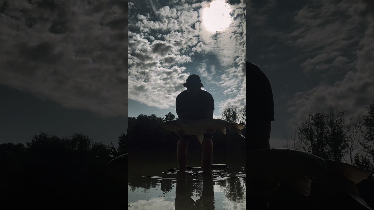 #CarpFishing