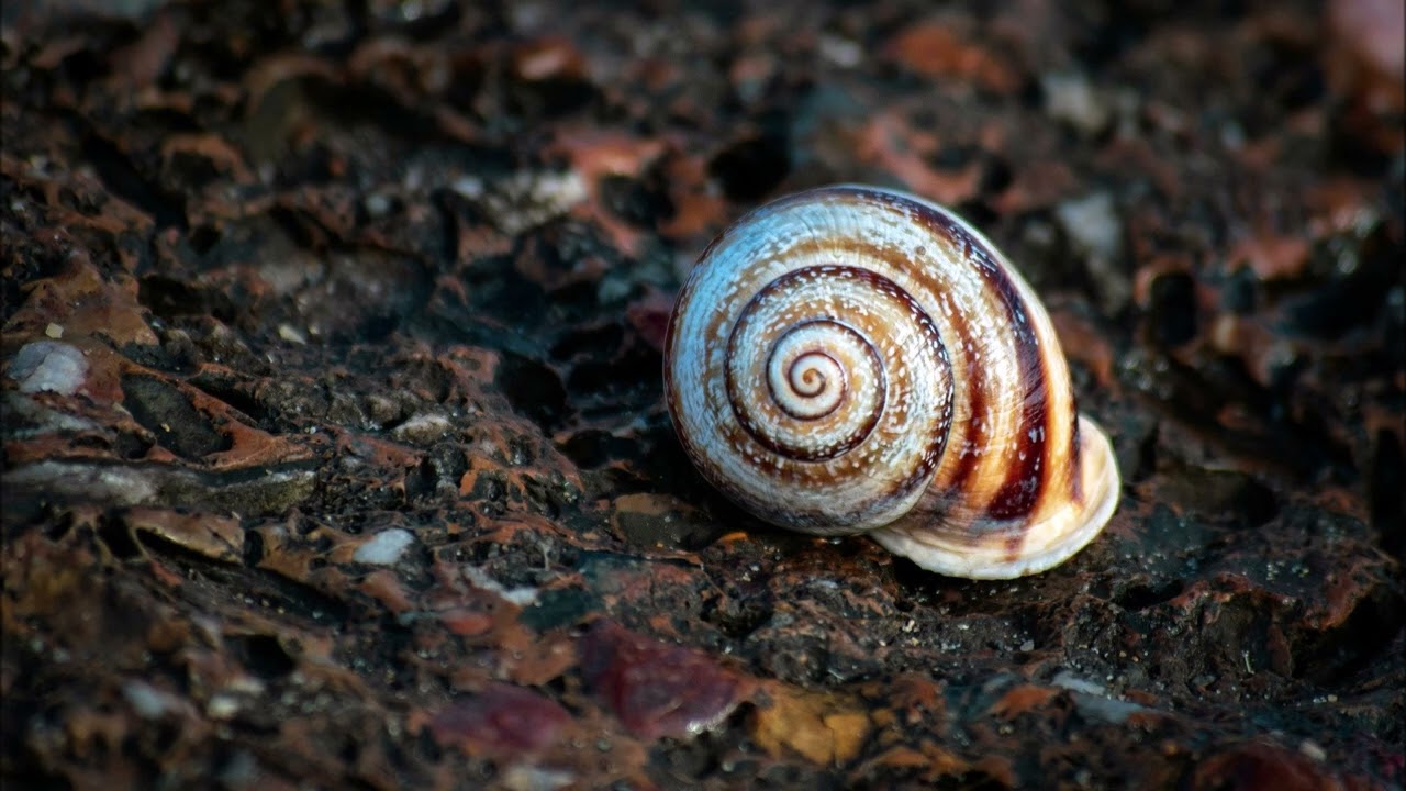 Powerful prayer for deep healing sleep