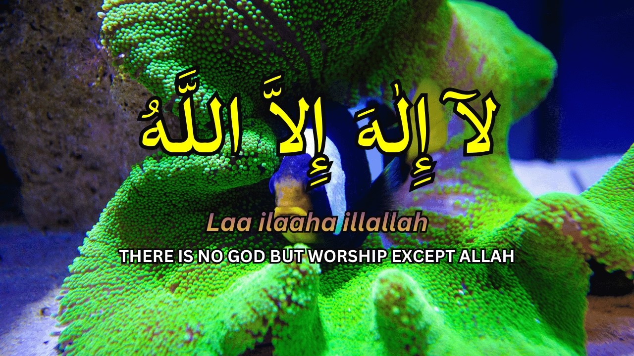 Calm Daily Dzikir LAILAHAILLALLAH for Emotional Rest