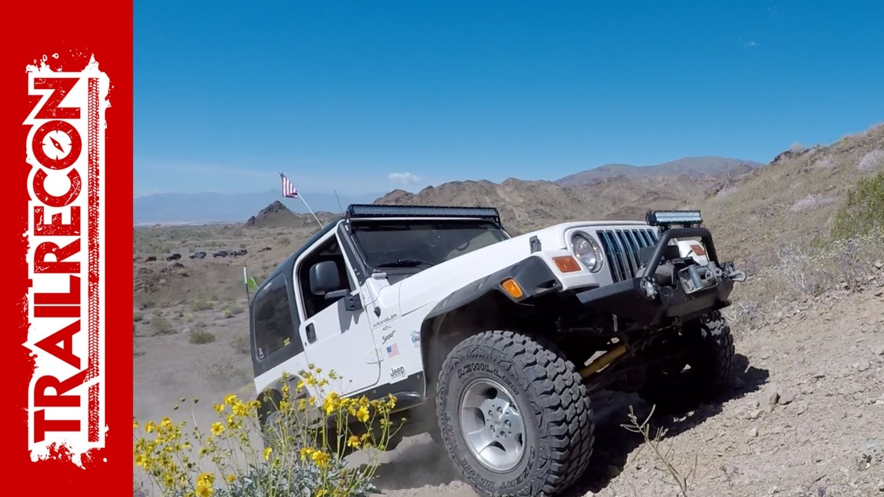 Bradshaw Trail and Red Canyon Jeep Trail - Desert Bloom